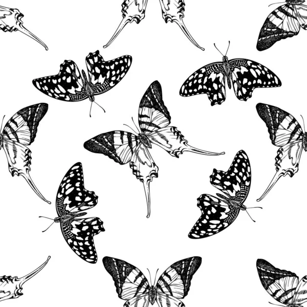 Patrón sin costuras con cola de espada gigante en blanco y negro, mariposa de limón — Vector de stock