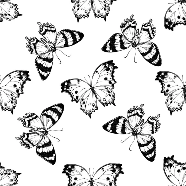 Patrón sin costuras con alcidas agathyrsus en blanco y negro, madreperla forestal — Vector de stock