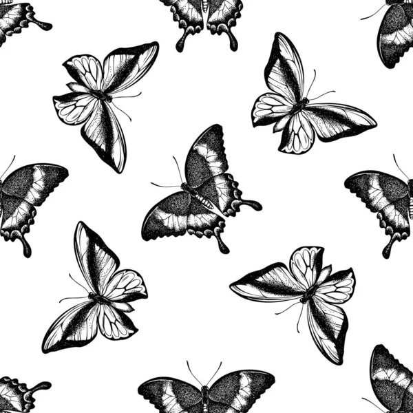 Motif sans couture avec hirondelle émeraude noire et blanche, papillon hirondelle — Image vectorielle