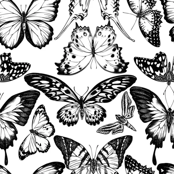 Seamless pattern with black and white giant swordtail, lemon butterfly, red lacewing, african giant swallowtail, white-banded hunter hawkmoth, forest mother-of-pearl, plain tiger — Stock Vector