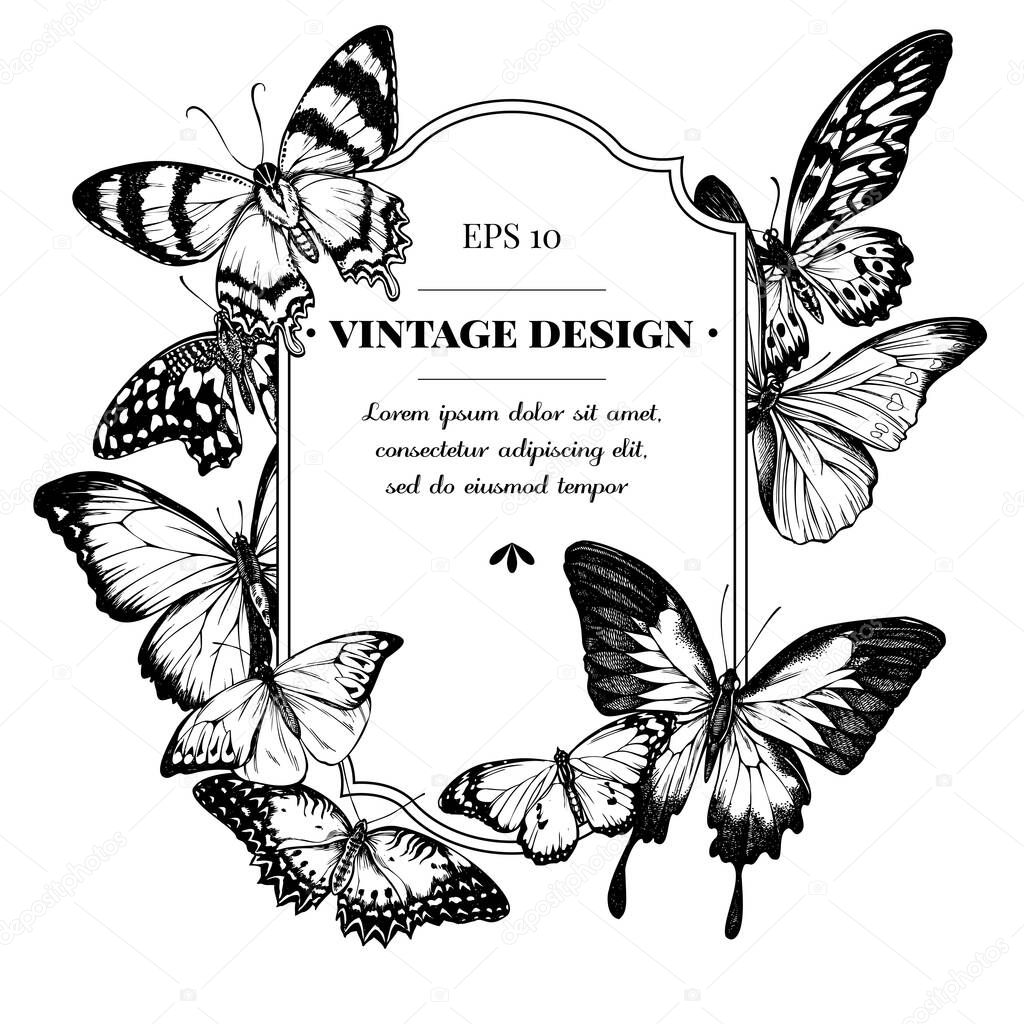 Badge design with black and white blue morpho, red lacewing, african giant swallowtail, alcides agathyrsus, great orange-tip, plain tiger