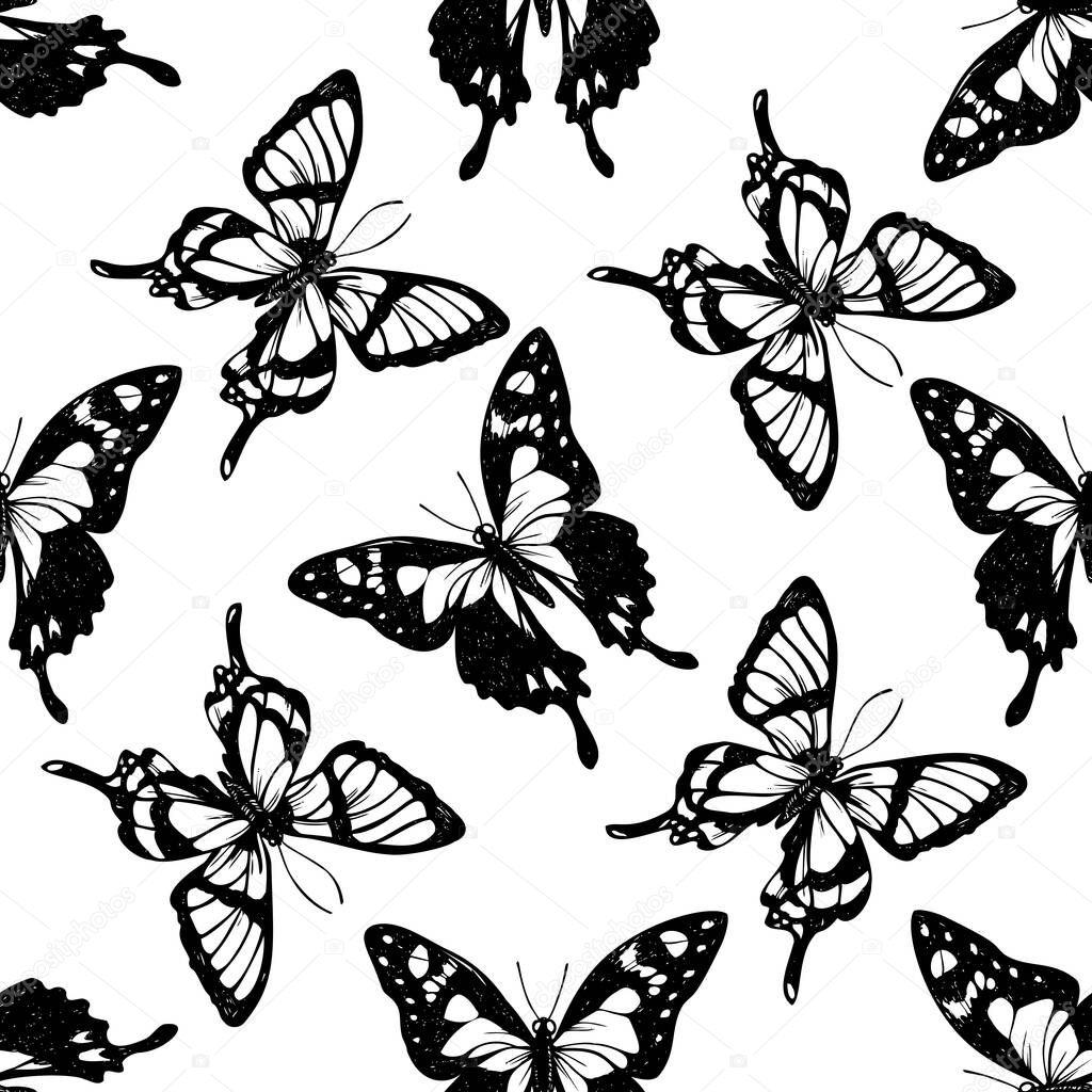 Seamless pattern with black and white purple spotted swallowtail, octauius swordtail