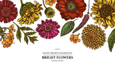 Renkli gelincik çiçeği, gerbera, ayçiçeği, süt otu, yıldız çiçeği, Veronica