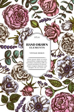 Renkli güller, şakayık, okaliptüs, lavanta, şakayık, viburnum