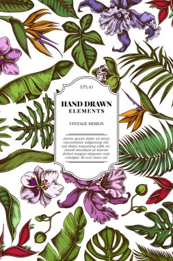 Renkli canavarlı kart tasarımı, muz palmiyesi yaprakları, strelitzia, heliconia, tropikal palmiye yaprakları, orkide