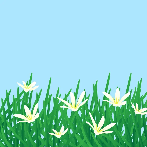Φόντο λευκό λουλούδι — Διανυσματικό Αρχείο