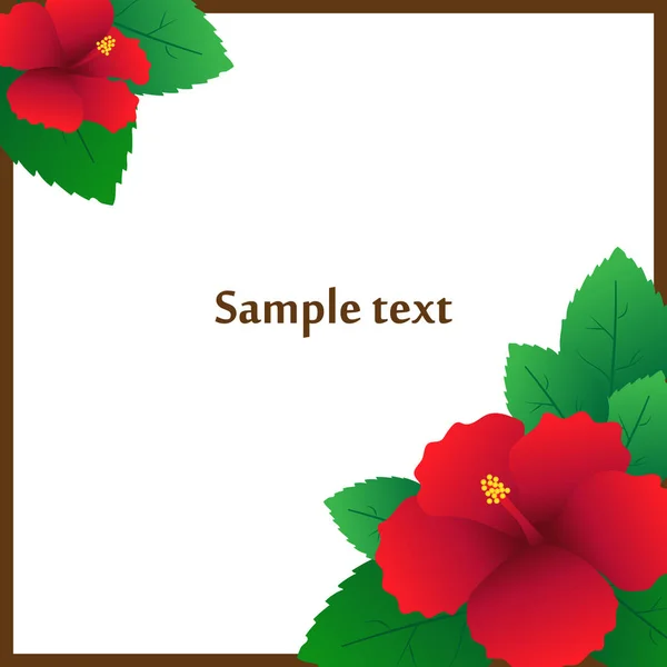 Hibiscus flower card — Stock Vector