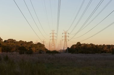 Elektrik hatları alacakaranlıkta doğanın üzerinde asılı.