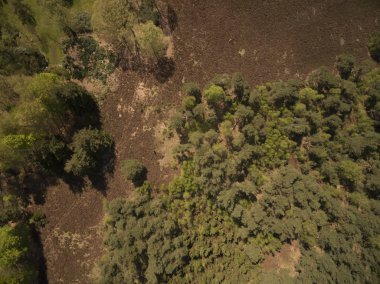 Hava Arid Heath Hollanda Peyzajı