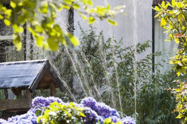 Su fıskiyeleri Bahçede koşuyor