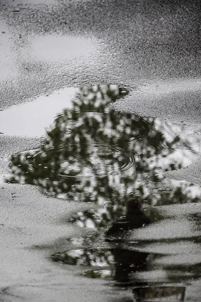 Personne s'éloignant dans le reflet de la flaque d'eau de la ville — Photo