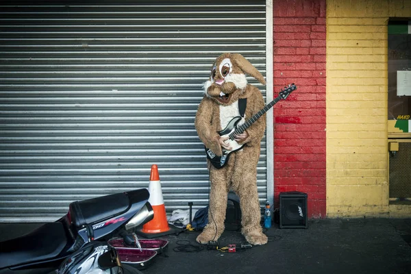 兔子在人行道上弹奏吉他 — 图库照片