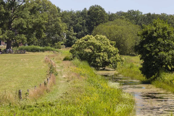 Tranquil Farm Creek — Stock Photo, Image