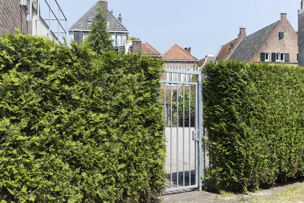 Стальные ворота с зелеными щетками, защищающими свободную землю — стоковое фото