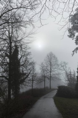 Şehir Parkı 'nda Karanlık Yol