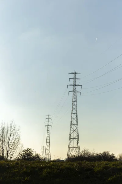 Stromleitungen führen direkt durch die Natur — Stockfoto