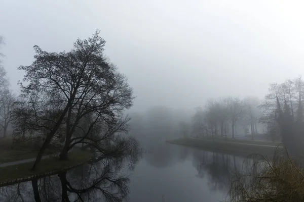 Темно-зеленый городской парк с низким уровнем тумана — стоковое фото