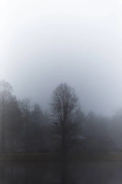 Kraai die over een mistig meer vliegt — Stockfoto