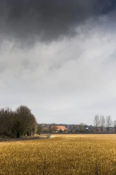 Nuvem de tempestade pesada cobrindo terras agrícolas — Fotografia de Stock