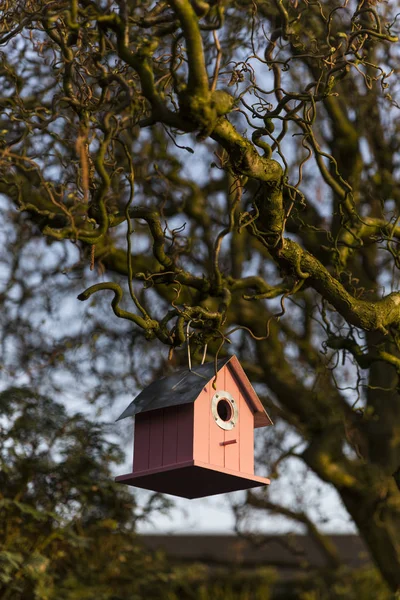 Casa de pássaros pendurada na árvore com luz da tarde — Fotografia de Stock