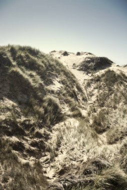 Öğleden sonra kumsalları Çimenli Kumullar