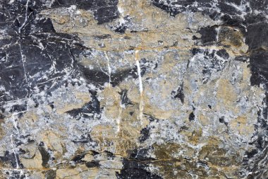 Deniz Kenarı Okyanus Doku Yüzeyi