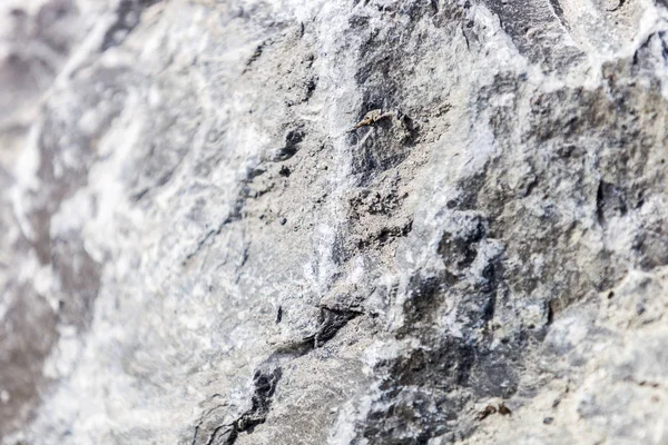 Taş Yüzeyinin Ayrıntılı Dokusu