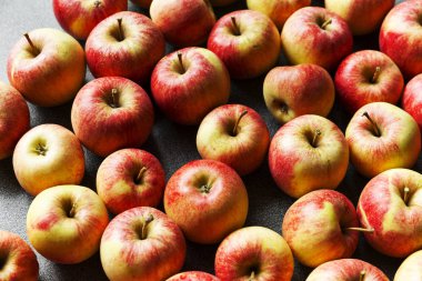 Home Grown Gala Elmalarının Çeşitliliği