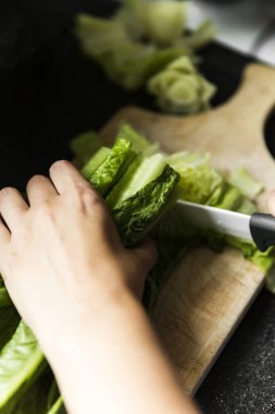 Kolayca kesmek için el ele tutuşan marul sürüsü