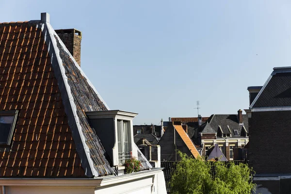 Голландские крыши в разгар лета — стоковое фото