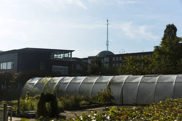 Community Garden In Zwolle Industrial Zone — 스톡 사진
