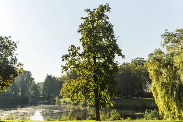 Park miejski Deventer z samego rana — Zdjęcie stockowe