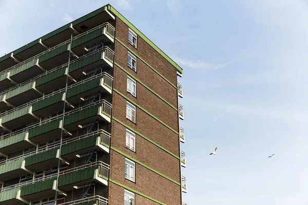 Apartamentos de viviendas suburbanas con gaviotas que pasan volando —  Fotos de Stock