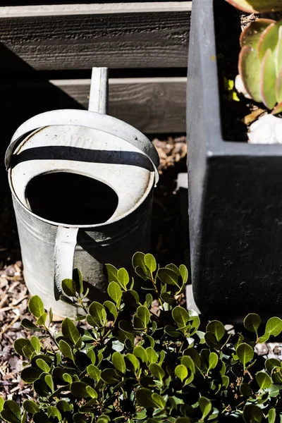 Old Tin Watering Can Sitting In The Sun — 스톡 사진