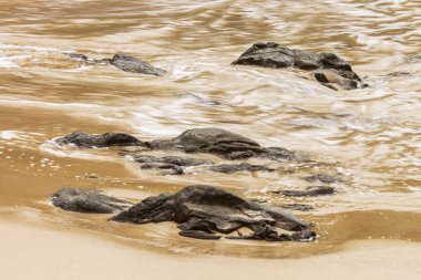 Sığ kayaların etrafında akan okyanus suyu