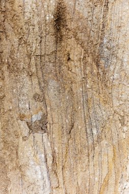 Benzersiz çizgiler oluşturan sarı aşındırıcı yüzey