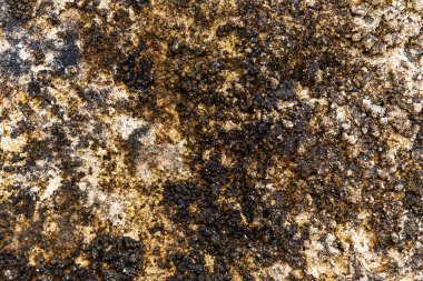 Koyu kaya dokusu eriyip yok oluyor.