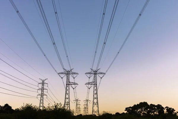 Електричні пілони над виноградником у сутінках — стокове фото