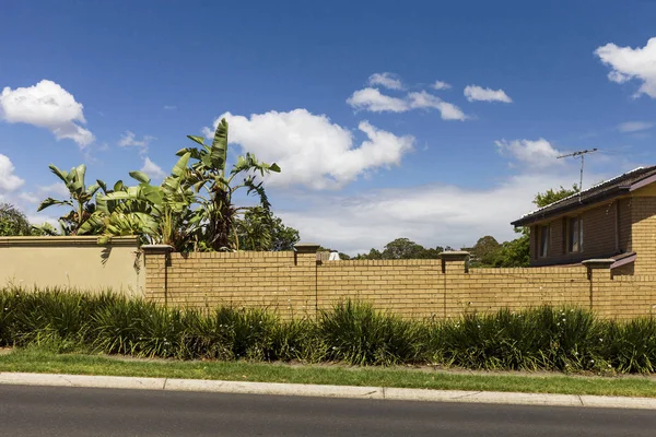 Rue de banlieue avec des plantes étrangères poussant sur la ligne de clôture de brique — Photo
