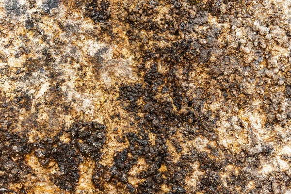 Textura abstracta de roca oceánica erosionada — Foto de Stock