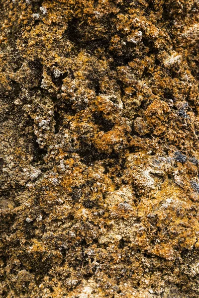 Naranja rústico playa roca textura — Foto de Stock