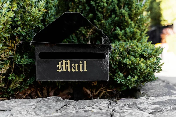 Vintage Styled Mailbox In Front Of Suburban Green Hedge — Stock Photo, Image
