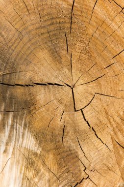Turuncu ahşap yüzey halka kenarlarında yavaşça çatlıyor.