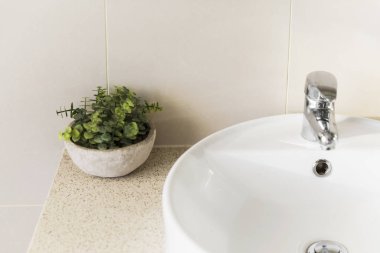 Minimum banyo lavabosu ve plastik bitki dekoru.