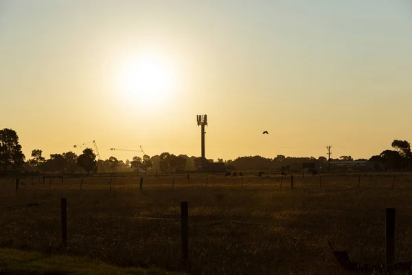 Mobilfunkmast in der Region Silhouette in der Abenddämmerung — Stockfoto