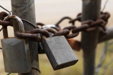 Çoklu paslı asma kilitler çit kapılarını bir arada tutuyor.