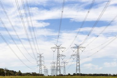 Yaz öğleden sonra açık arazide güç kolonları asılı.