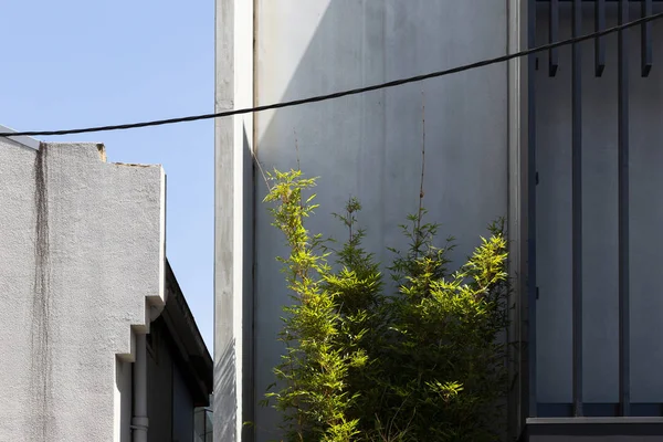 Современное бетонное здание с зелеными деталями — стоковое фото