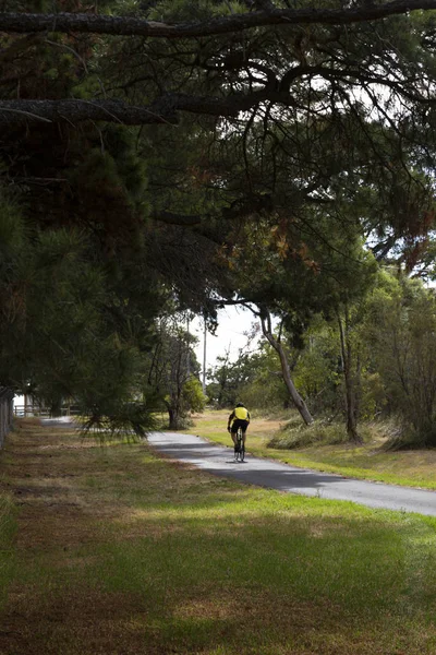 Senior Bike Rider Riding Up Hill — 스톡 사진