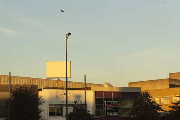 Crow Flying Above Urban Shopping Strip During Afternoon Sun Light — 스톡 사진